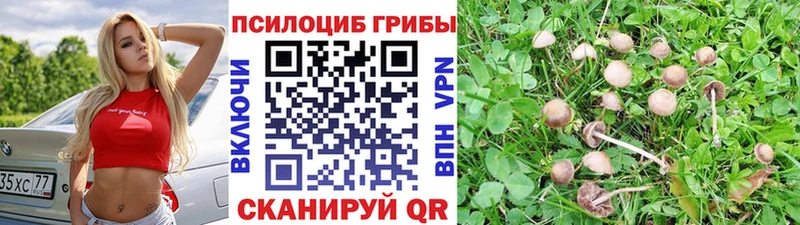 купить наркотики сайты  Духовщина  Псилоцибиновые грибы Magic Shrooms 